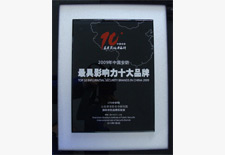 中國安防十大品牌